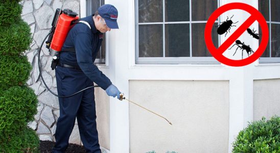Yenifoça Kene İlaçlama böcek ilaçlama ve haşere kontrolü — ilaclama-tr.com